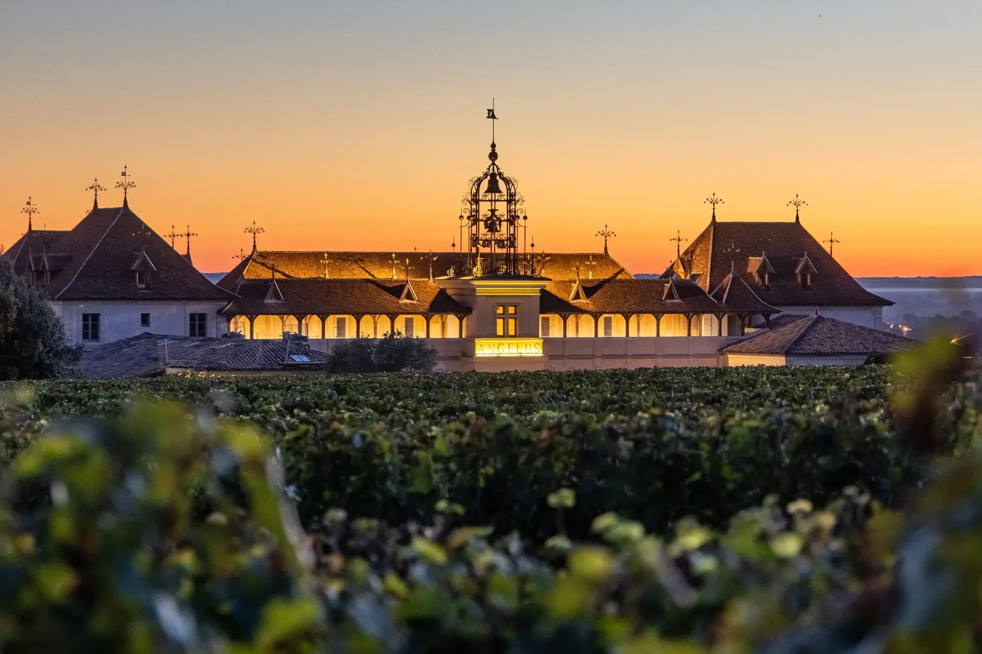 Château Angélus 1er Grand Cru Classé A 2024 – Bild 4