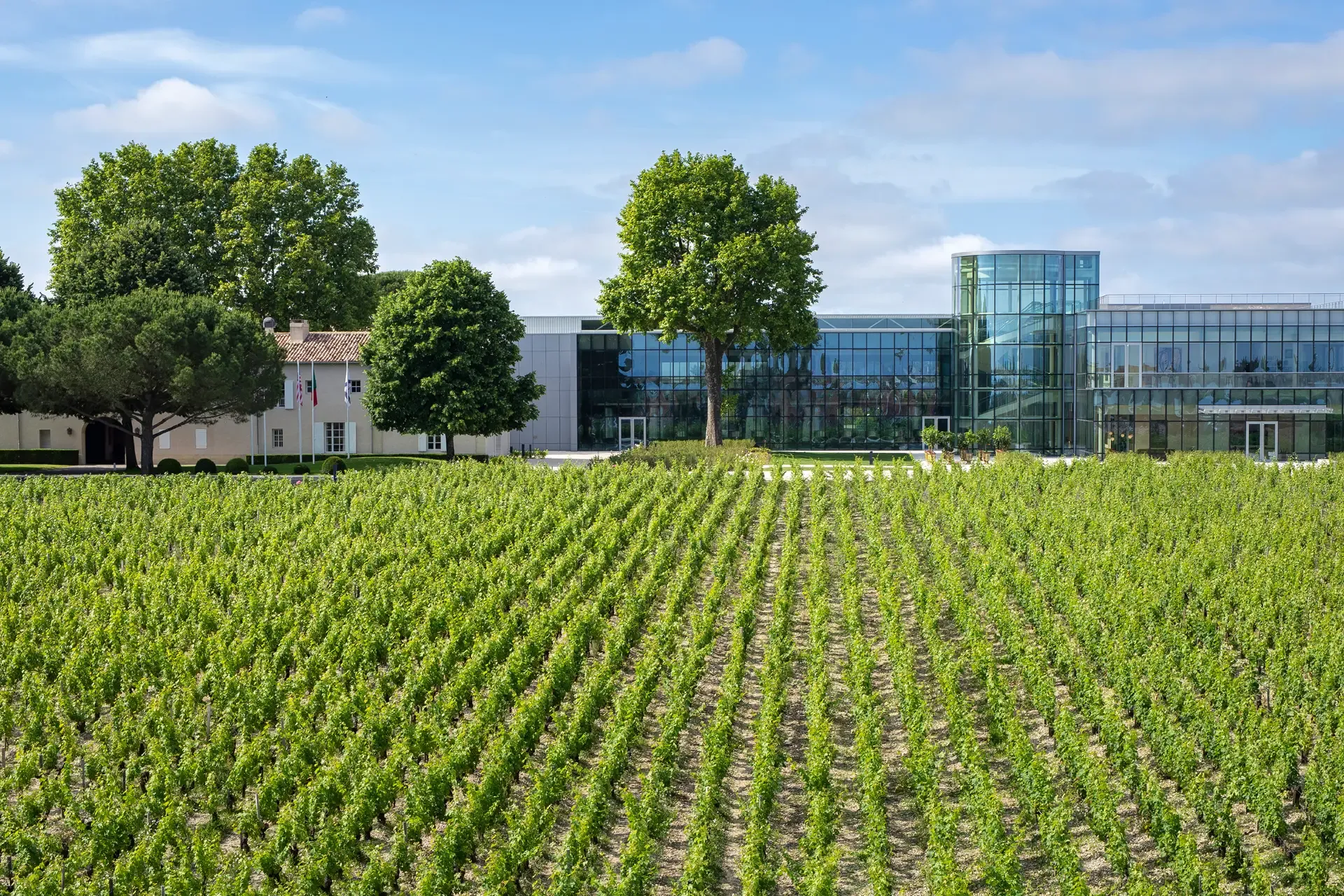 Blanc de Lynch-Bages 2023 – Bild 3